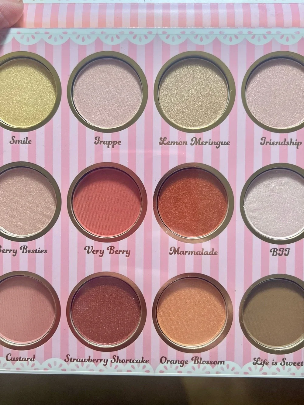 Strawberry Shortcake Eyeshadow Palette - 12 Shade Women Makeup- NIB